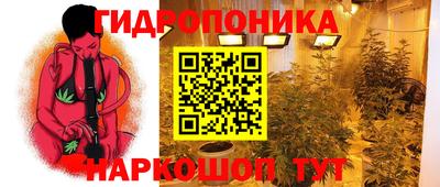 эйфоретик Свободный