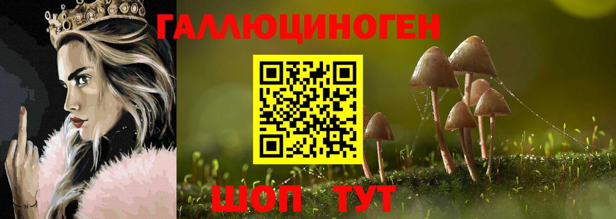Псилоцибиновые грибы прущие грибы  Вход с VPN  Ногинск 
